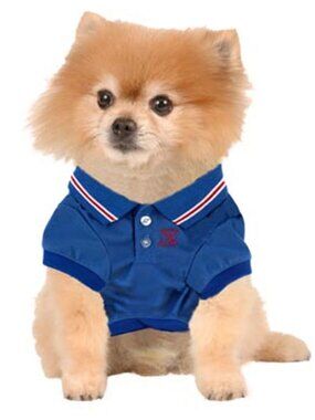 Royal Blue Polo Shirt2